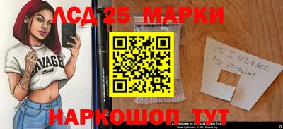 гидропоника Кумертау