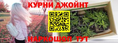 PSILOCYBIN Кунгур