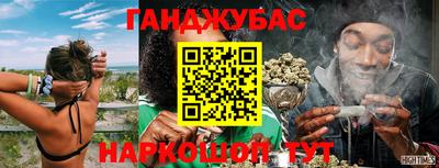 PSILOCYBIN Кунгур