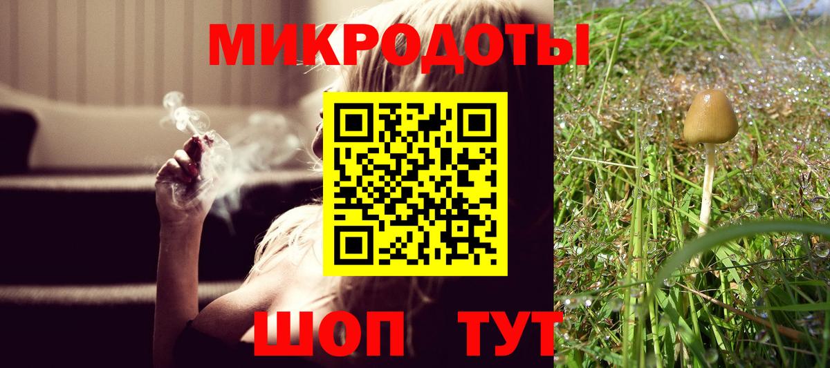 Галлюциногенные грибы Psilocybine cubensis Коломна